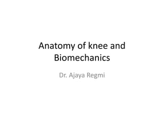 Anatomy of knee and
Biomechanics
Dr. Ajaya Regmi
 