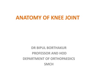 ANATOMY OF KNEE JOINT
DR BIPUL BORTHAKUR
PROFESSOR AND HOD
DEPARTMENT OF ORTHOPAEDICS
SMCH
 