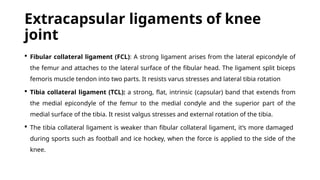Comprehensive Anatomy and Clinical Insights of the Knee Joint | PPTX
