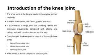 Comprehensive Anatomy and Clinical Insights of the Knee Joint | PPTX