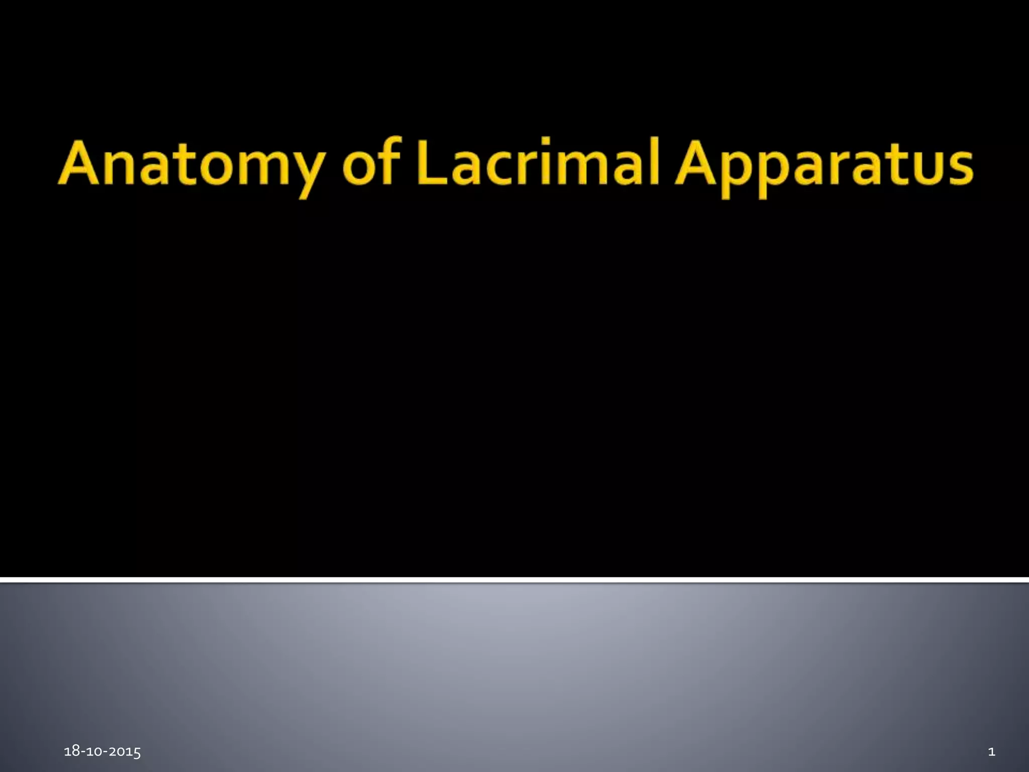 Lacrimal Apparatus Anatomy: Quiz Yourself & Become An Expert! - rc7qifo
