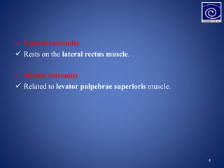 Anatomyoflacrimalapparatus 160313074220 | PPTX