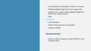 Anatomy of lacrimal apparatus | PPT