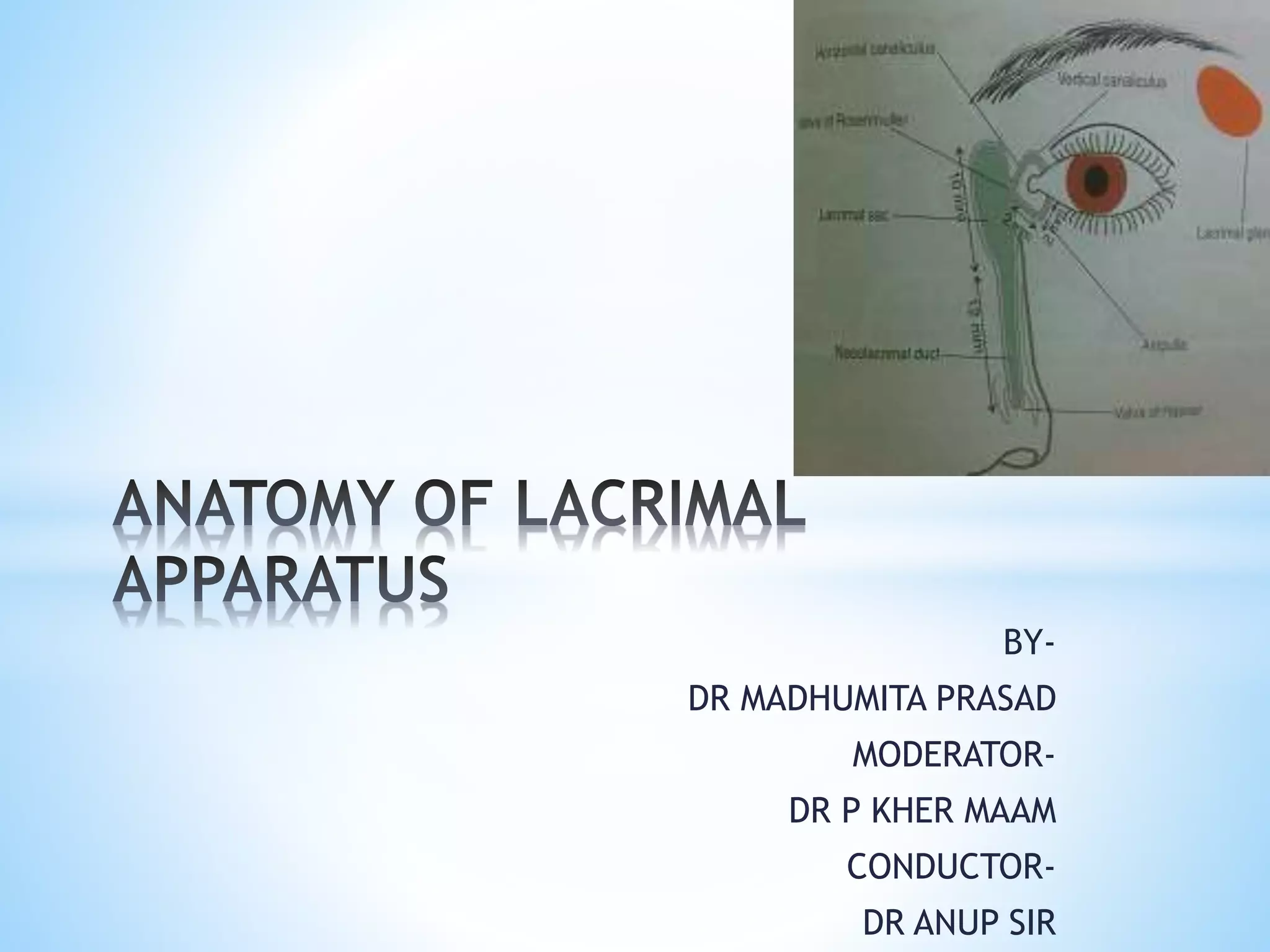 Anatomy of lacrimal apparatus | PPTX