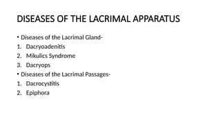 Comprehensive Anatomy and Diseases of the Lacrimal Gland and Apparatus ...