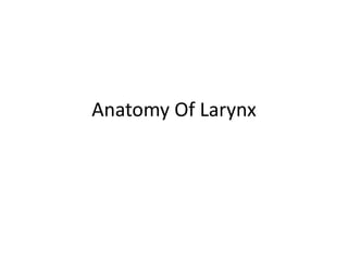 Anatomy Of Larynx
 