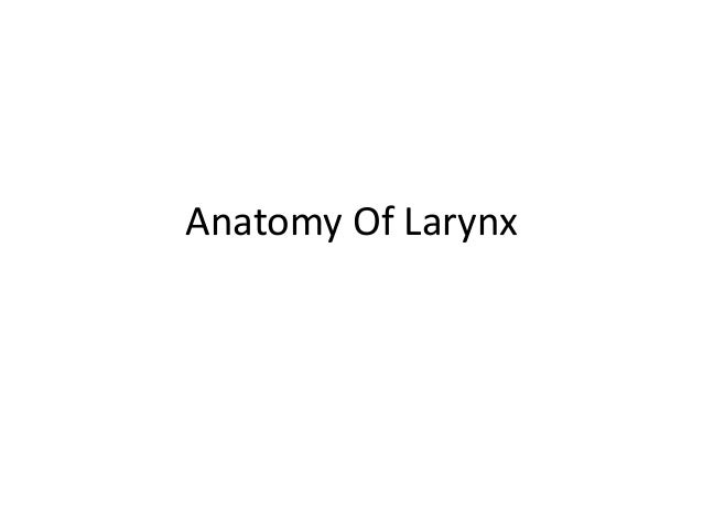 Anatomy Of Larynx
 