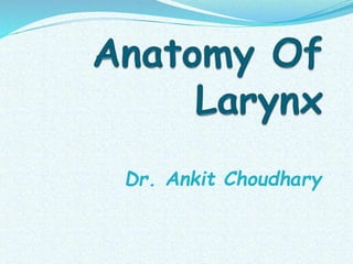 Dr. Ankit Choudhary
 