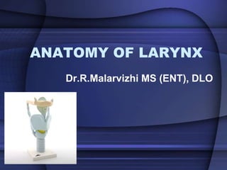 ANATOMY OF LARYNX
Dr.R.Malarvizhi MS (ENT), DLO
 