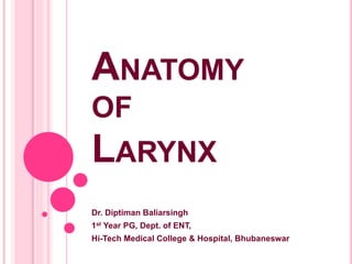 ANATOMY 
OF 
LARYNX 
Dr. Diptiman Baliarsingh 
1st Year PG, Dept. of ENT, 
Hi-Tech Medical College & Hospital, Bhubaneswar 
 