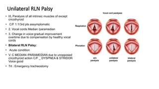 Bilateral Rln anatomy of larynx and bronchopulmonary segments- hemalatha.pptx