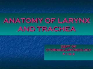 ANATOMY OF LARYNX
  AND TRACHEA

               DEPT OF
        OTORHINOLARYNGOLOGY
                P I M S
 