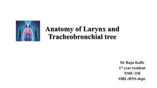 Anatomy of Larynx and
Tracheobronchial tree
Dr Raju Kafle
1st year resident
NMC-TH
ORL-HNS dept.
1
 