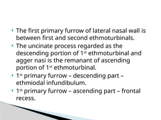 Anatomy of lateral wall of the nose.pptx