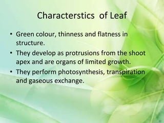 Characterstics of Leaf
• Green colour, thinness and flatness in
structure.
• They develop as protrusions from the shoot
apex and are organs of limited growth.
• They perform photosynthesis, transpiration
and gaseous exchange.
 
