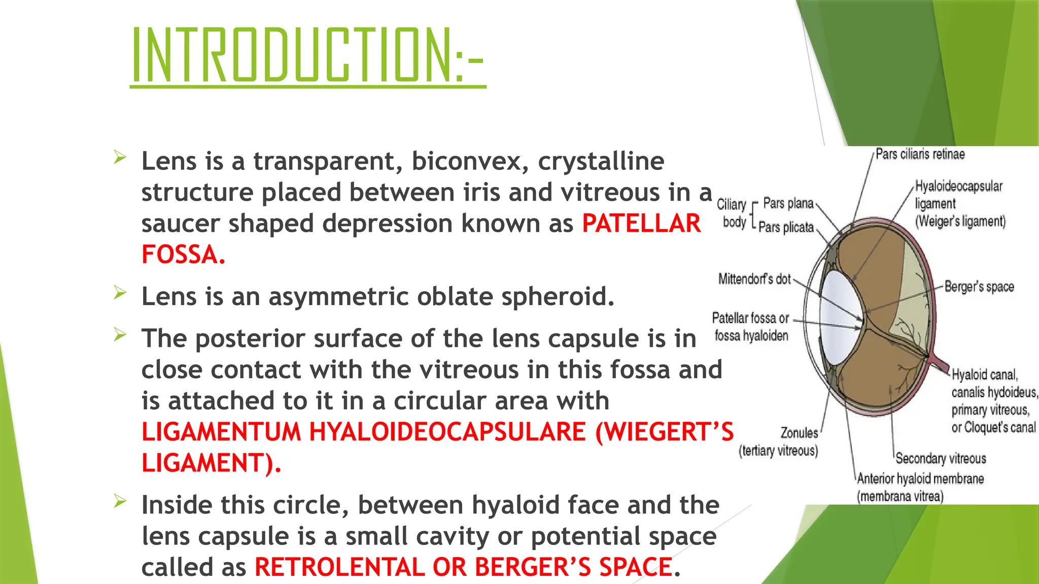 ANATOMY OF LENS AND FACTORS AFFECTING LENS TRANSPARENCY (1) - Copy.pptx