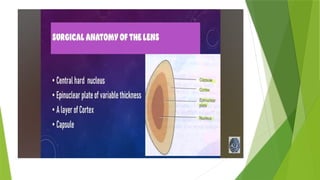ANATOMY OF LENS AND FACTORS AFFECTING LENS TRANSPARENCY (1) - Copy.pptx