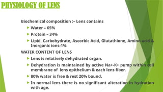 ANATOMY OF LENS AND FACTORS AFFECTING LENS TRANSPARENCY (1) - Copy.pptx