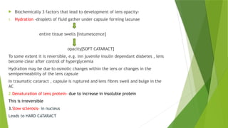 ANATOMY OF LENS AND FACTORS AFFECTING LENS TRANSPARENCY (1) - Copy.pptx