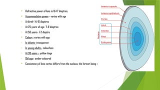 ANATOMY OF LENS AND FACTORS AFFECTING LENS TRANSPARENCY (1) - Copy.pptx