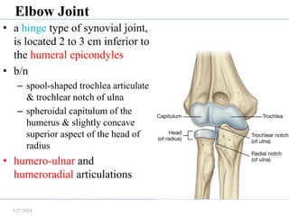 anatomy of limb( upper and lower limb).pdf
