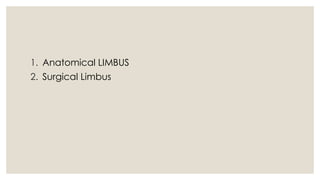 Limbus Lab Anatomy of limbus ,and there structures forming and depicting there ...