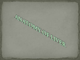 Anatomy of liver