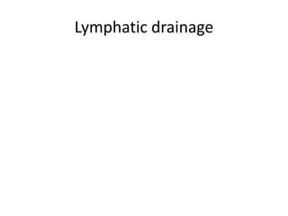 Lymphatic drainage
 