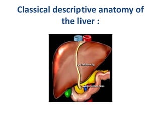 Classical descriptive anatomy of
the liver :
 