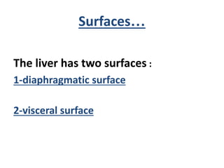 Surfaces…
The liver has two surfaces :
1-diaphragmatic surface
2-visceral surface
 