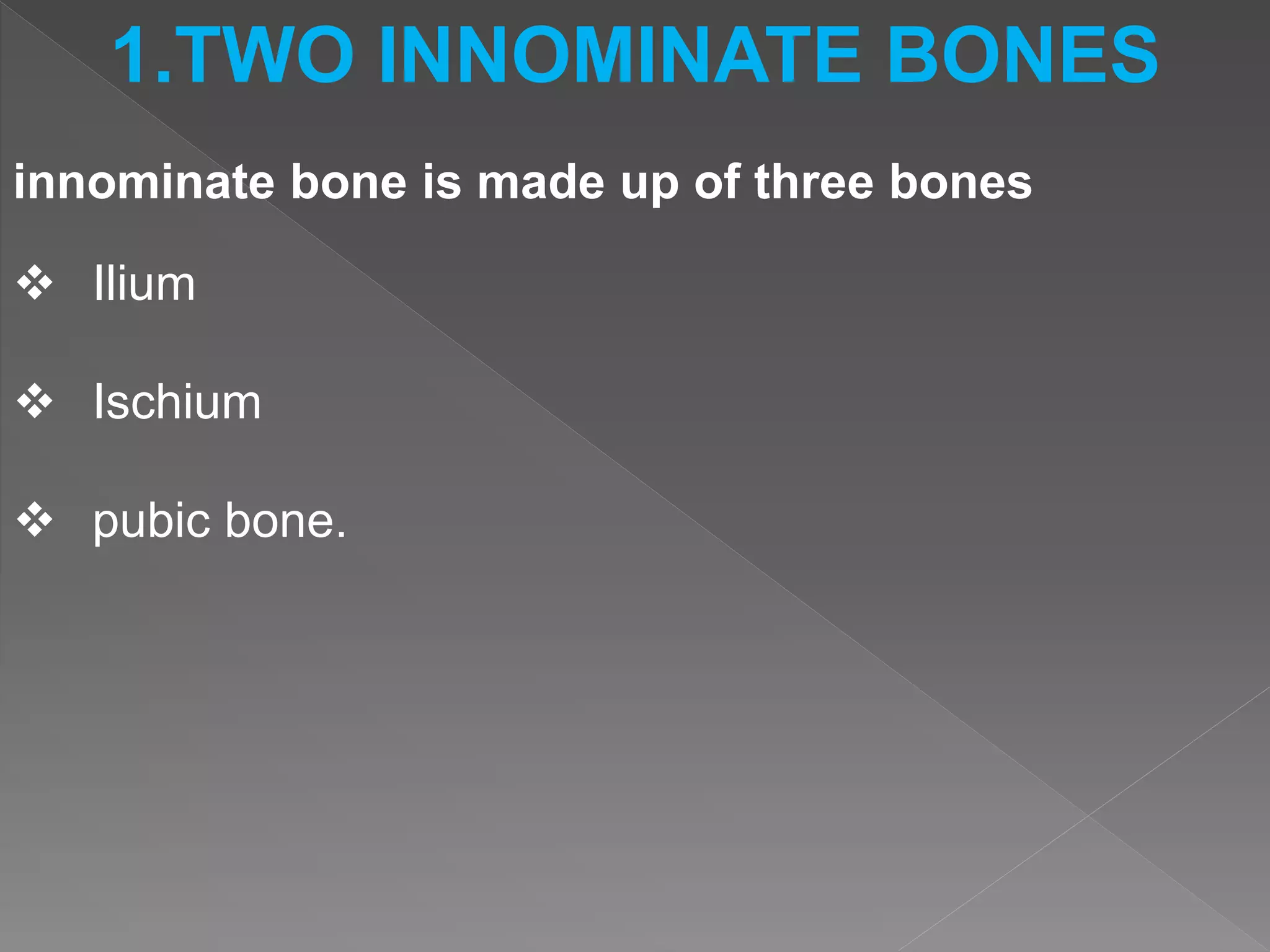 bones of lower limb and anatomy of lower limb | PPTX