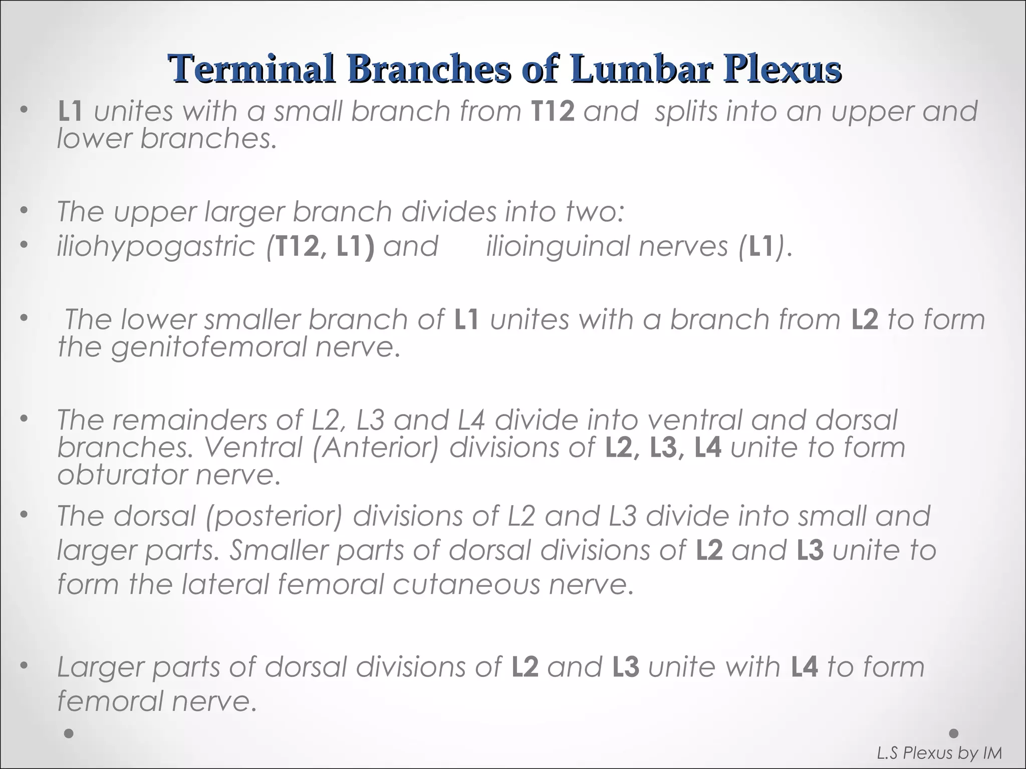 Terminal BBrraanncchheess ooff LLuummbbaarr PPlleexxuuss 
• L1 unites with a small branch from T12 and splits into an upper and 
lower branches. 
• The upper larger branch divides into two: 
• iliohypogastric (T12, L1) and ilioinguinal nerves (L1). 
• The lower smaller branch of L1 unites with a branch from L2 to form 
the genitofemoral nerve. 
• The remainders of L2, L3 and L4 divide into ventral and dorsal 
branches. Ventral (Anterior) divisions of L2, L3, L4 unite to form 
obturator nerve. 
• The dorsal (posterior) divisions of L2 and L3 divide into small and 
larger parts. Smaller parts of dorsal divisions of L2 and L3 unite to 
form the lateral femoral cutaneous nerve. 
• Larger parts of dorsal divisions of L2 and L3 unite with L4 to form 
femoral nerve. 
L.S Plexus by IM 
 