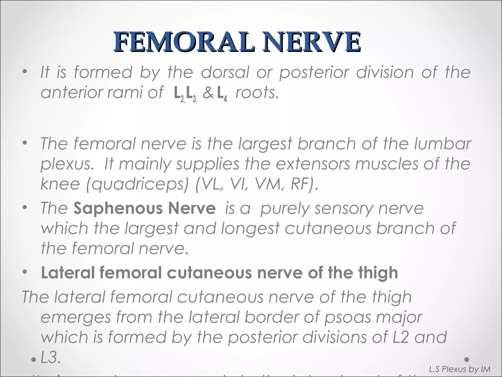 FFEEMMOORRAALL NNEERRVVEE 
• It is formed by the dorsal or posterior division of the 
anterior rami of L2,L3, & L4 roots. 
• The femoral nerve is the largest branch of the lumbar 
plexus. It mainly supplies the extensors muscles of the 
knee (quadriceps) (VL, VI, VM, RF). 
• The Saphenous Nerve is a purely sensory nerve 
which the largest and longest cutaneous branch of 
the femoral nerve. 
• Lateral femoral cutaneous nerve of the thigh 
The lateral femoral cutaneous nerve of the thigh 
emerges from the lateral border of psoas major 
which is formed by the posterior divisions of L2 and 
L3. 
. It gives cutaneous supply to the lateral part of the 
L.S Plexus by IM 
 