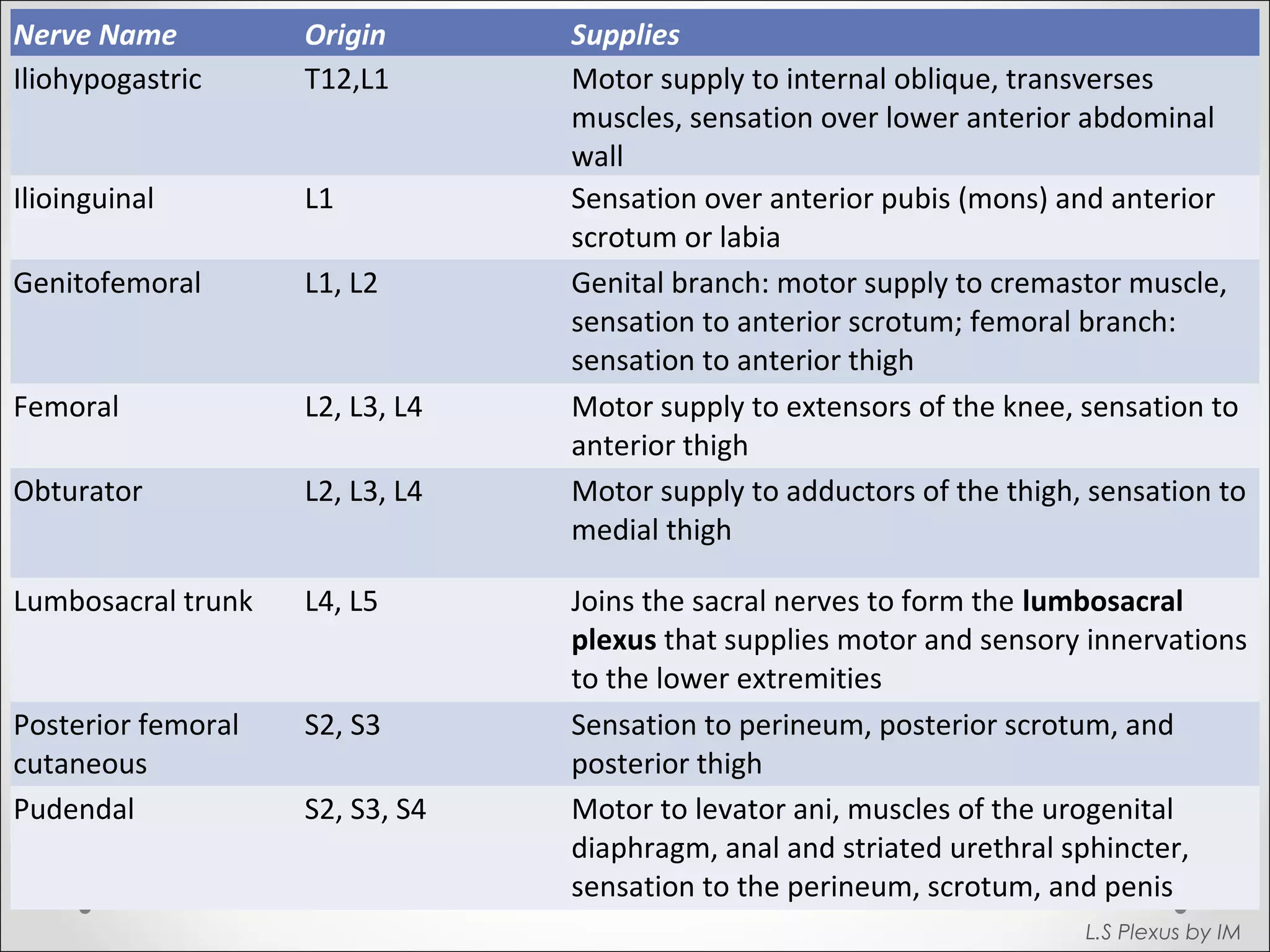 Nerve Name Origin Supplies 
Iliohypogastric T12,L1 Motor supply to internal oblique, transverses 
muscles, sensation over lower anterior abdominal 
wall 
Ilioinguinal L1 Sensation over anterior pubis (mons) and anterior 
scrotum or labia 
Genitofemoral L1, L2 Genital branch: motor supply to cremastor muscle, 
sensation to anterior scrotum; femoral branch: 
sensation to anterior thigh 
Femoral L2, L3, L4 Motor supply to extensors of the knee, sensation to 
anterior thigh 
Obturator L2, L3, L4 Motor supply to adductors of the thigh, sensation to 
medial thigh 
Lumbosacral trunk L4, L5 Joins the sacral nerves to form the lumbosacral 
plexus that supplies motor and sensory innervations 
to the lower extremities 
Posterior femoral 
cutaneous 
S2, S3 Sensation to perineum, posterior scrotum, and 
posterior thigh 
Pudendal S2, S3, S4 Motor to levator ani, muscles of the urogenital 
diaphragm, anal and striated urethral sphincter, 
sensation to the perineum, scrotum, and penis 
L.S Plexus by IM 
 