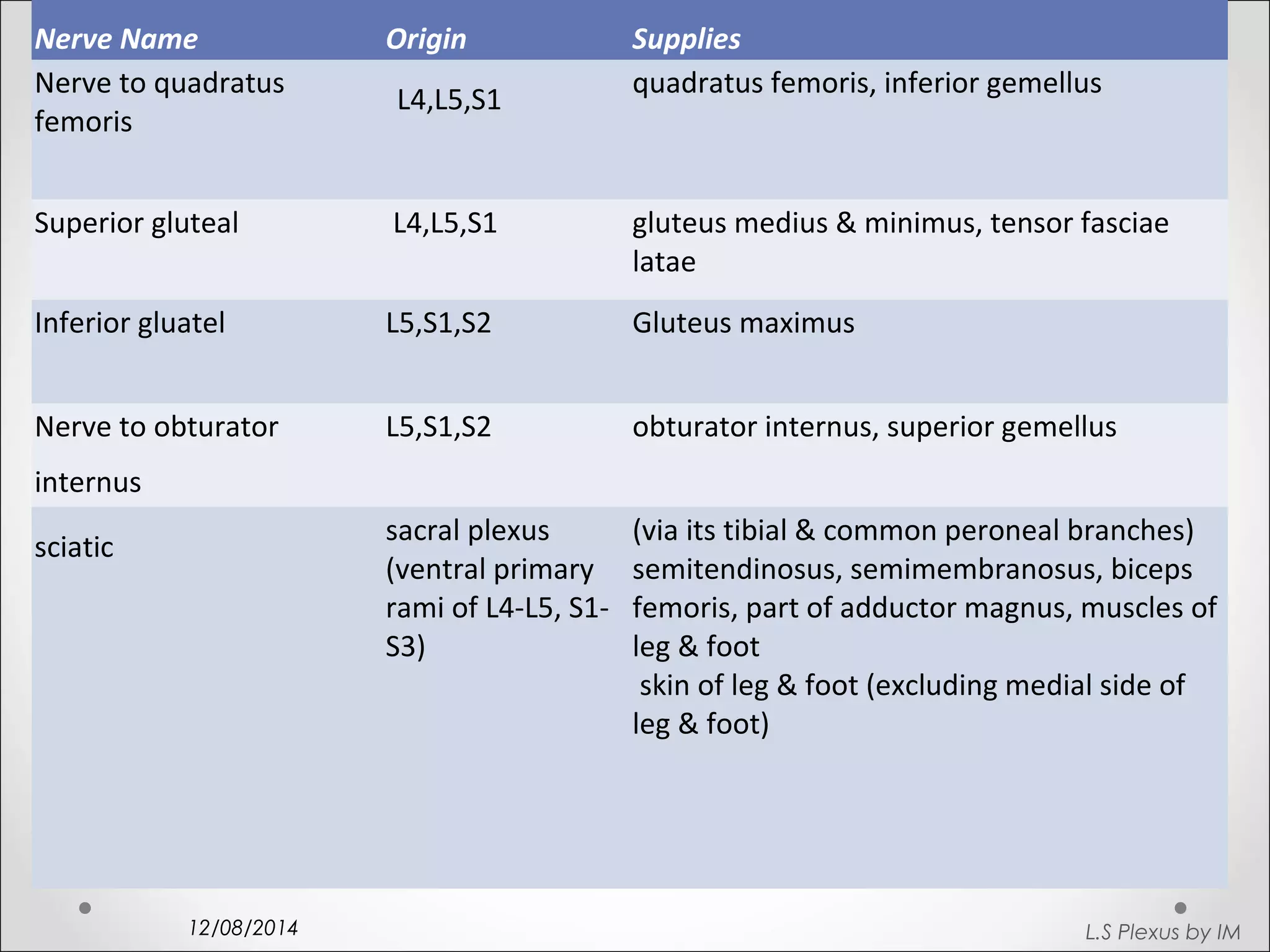 Nerve Name Origin Supplies 
Nerve to quadratus 
femoris 
12/08/2014 
L4,L5,S1 quadratus femoris, inferior gemellus 
Superior gluteal L4,L5,S1 gluteus medius & minimus, tensor fasciae 
latae 
Inferior gluatel L5,S1,S2 Gluteus maximus 
Nerve to obturator 
internus 
L5,S1,S2 obturator internus, superior gemellus 
sciatic sacral plexus 
(ventral primary 
rami of L4-L5, S1- 
S3) 
(via its tibial & common peroneal branches) 
semitendinosus, semimembranosus, biceps 
femoris, part of adductor magnus, muscles of 
leg & foot 
skin of leg & foot (excluding medial side of 
leg & foot) 
L.S Plexus by IM 
 