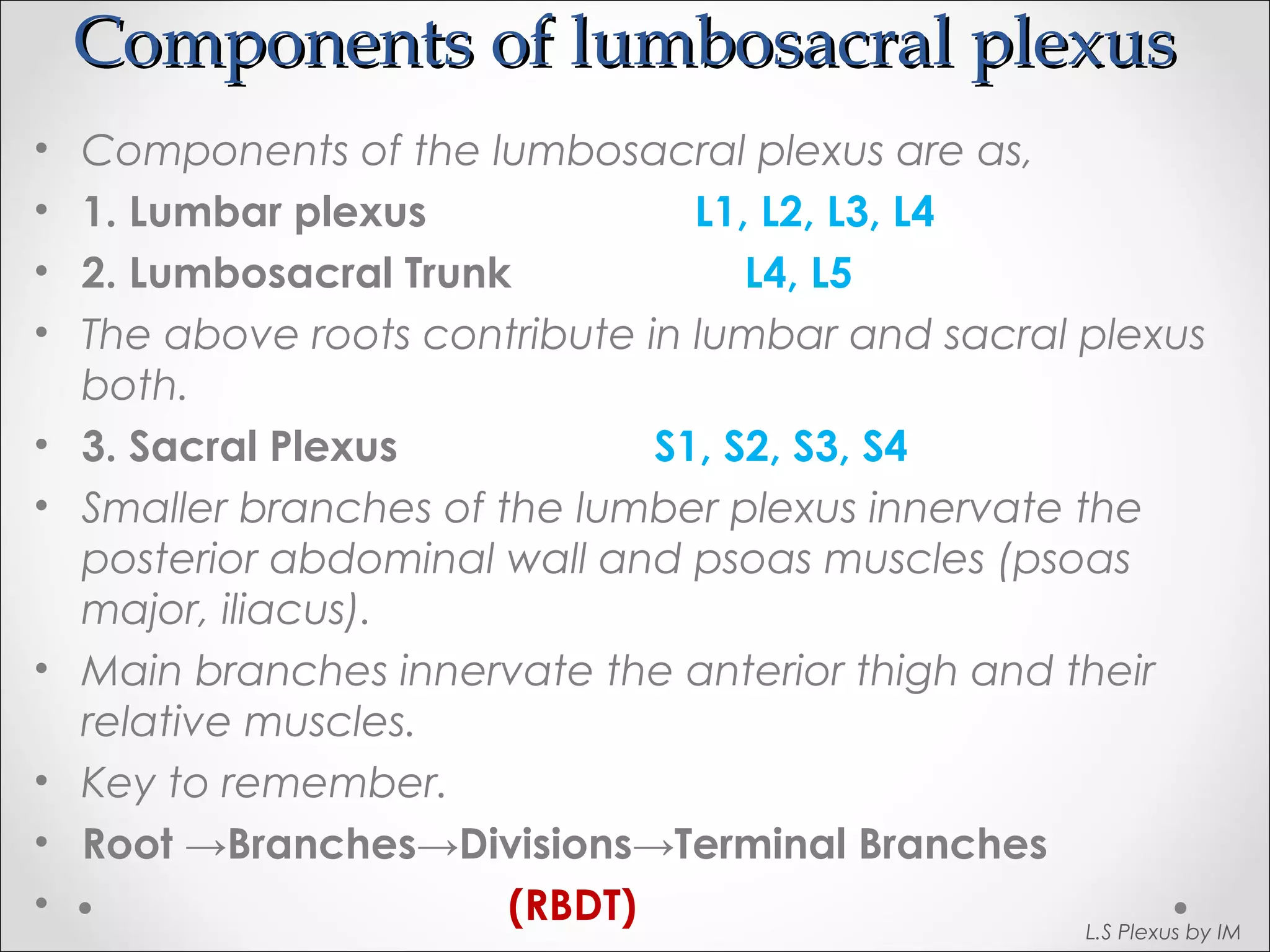 Components ooff lluummbboossaaccrraall pplleexxuuss 
• Components of the lumbosacral plexus are as, 
• 1. Lumbar plexus L1, L2, L3, L4 
• 2. Lumbosacral Trunk L4, L5 
• The above roots contribute in lumbar and sacral plexus 
both. 
• 3. Sacral Plexus S1, S2, S3, S4 
• Smaller branches of the lumber plexus innervate the 
posterior abdominal wall and psoas muscles (psoas 
major, iliacus). 
• Main branches innervate the anterior thigh and their 
relative muscles. 
• Key to remember. 
• Root →Branches→Divisions→Terminal Branches 
• (RBDT) L.S Plexus by IM 
 