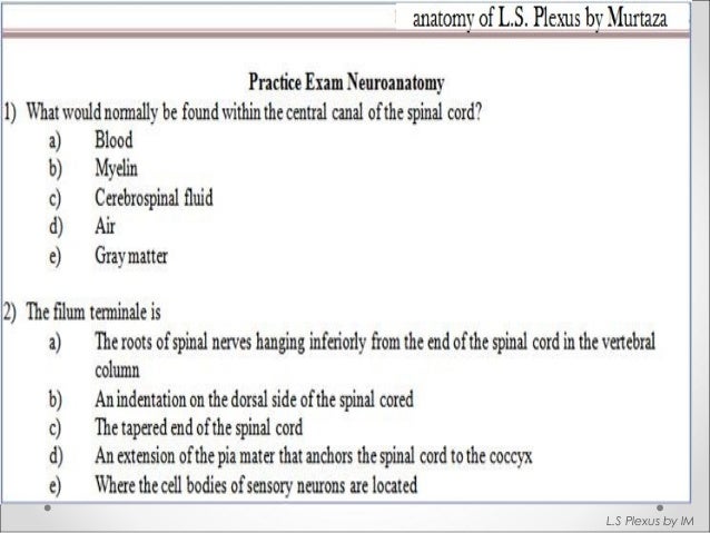 Maximus by Richard L. Black (2015, CD) Maximus by Richard L. Black (2015, CD)