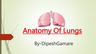 Anatomy Of Lungs
By-DipeshGamare
 