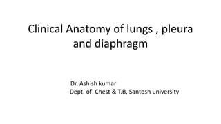 Clinical Anatomy of lungs , pleura
and diaphragm
Dr. Ashish kumar
Dept. of Chest & T.B, Santosh university
 
