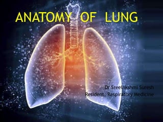 Dr Sreelakshmi Suresh
Resident, Respiratory Medicine
ANATOMY OF LUNG
 
