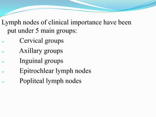 Lymph nodes of clinical importance have been
  put under 5 main groups:
➢     Cervical groups
➢     Axillary groups
➢     Inguinal groups
➢     Epitrochlear lymph nodes
➢     Popliteal lymph nodes
 