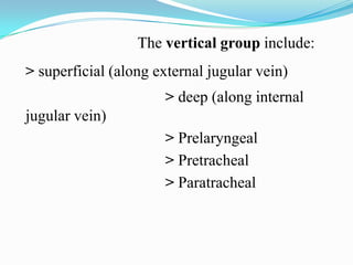 The vertical group include:
> superficial (along external jugular vein)
                      > deep (along internal
jugular vein)
                      > Prelaryngeal
                      > Pretracheal
                      > Paratracheal
 