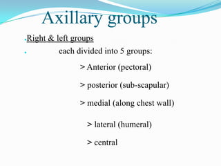 Axillary groups
● Right & left groups
●          each divided into 5 groups:
                > Anterior (pectoral)

                > posterior (sub-scapular)

                > medial (along chest wall)

                  > lateral (humeral)

                  > central
 