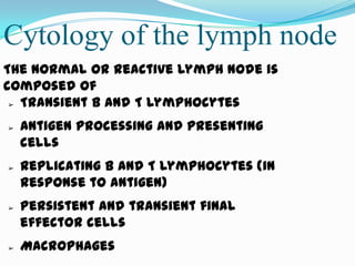 Cytology of the lymph node
The normal or reactive lymph node is
composed of
 ➢ Transient B and T lymphocytes


➢   Antigen processing and presenting
    cells
➢   Replicating B and T lymphocytes (in
    response to antigen)
➢   Persistent and transient final
    effector cells
➢   Macrophages
 