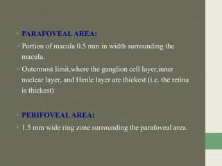 • PARAFOVEAL AREA:
Portion of macula 0.5 mm in width surrounding the
macula.
Outermost limit,where the ganglion cell layer,inner
nuclear layer, and Henle layer are thickest (i.e. the retina
is thickest)
• PERIFOVEALAREA:
• 1.5 mm wide ring zone surrounding the parafoveal area.
 