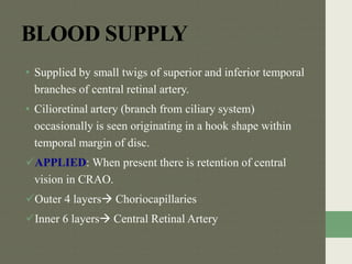 BLOOD SUPPLY
• Supplied by small twigs of superior and inferior temporal
branches of central retinal artery.
• Cilioretinal artery (branch from ciliary system)
occasionally is seen originating in a hook shape within
temporal margin of disc.
APPLIED: When present there is retention of central
vision in CRAO.
Outer 4 layers Choriocapillaries
Inner 6 layers Central Retinal Artery
 