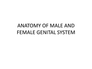 ANATOMY OF MALE AND
FEMALE GENITAL SYSTEM
 