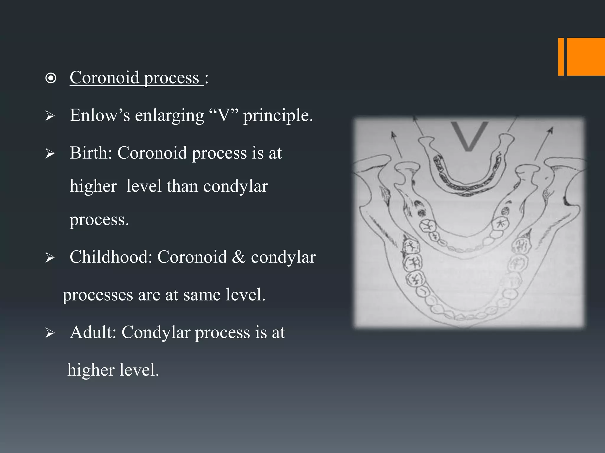  Coronoid process :
 Enlow’s enlarging “V” principle.
 Birth: Coronoid process is at
higher level than condylar
process.
 Childhood: Coronoid & condylar
processes are at same level.
 Adult: Condylar process is at
higher level.
 