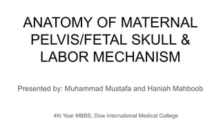 ANATOMY OF MATERNAL PELVIS_FETAL SKULL_LABOR MECHANISM.pdf
