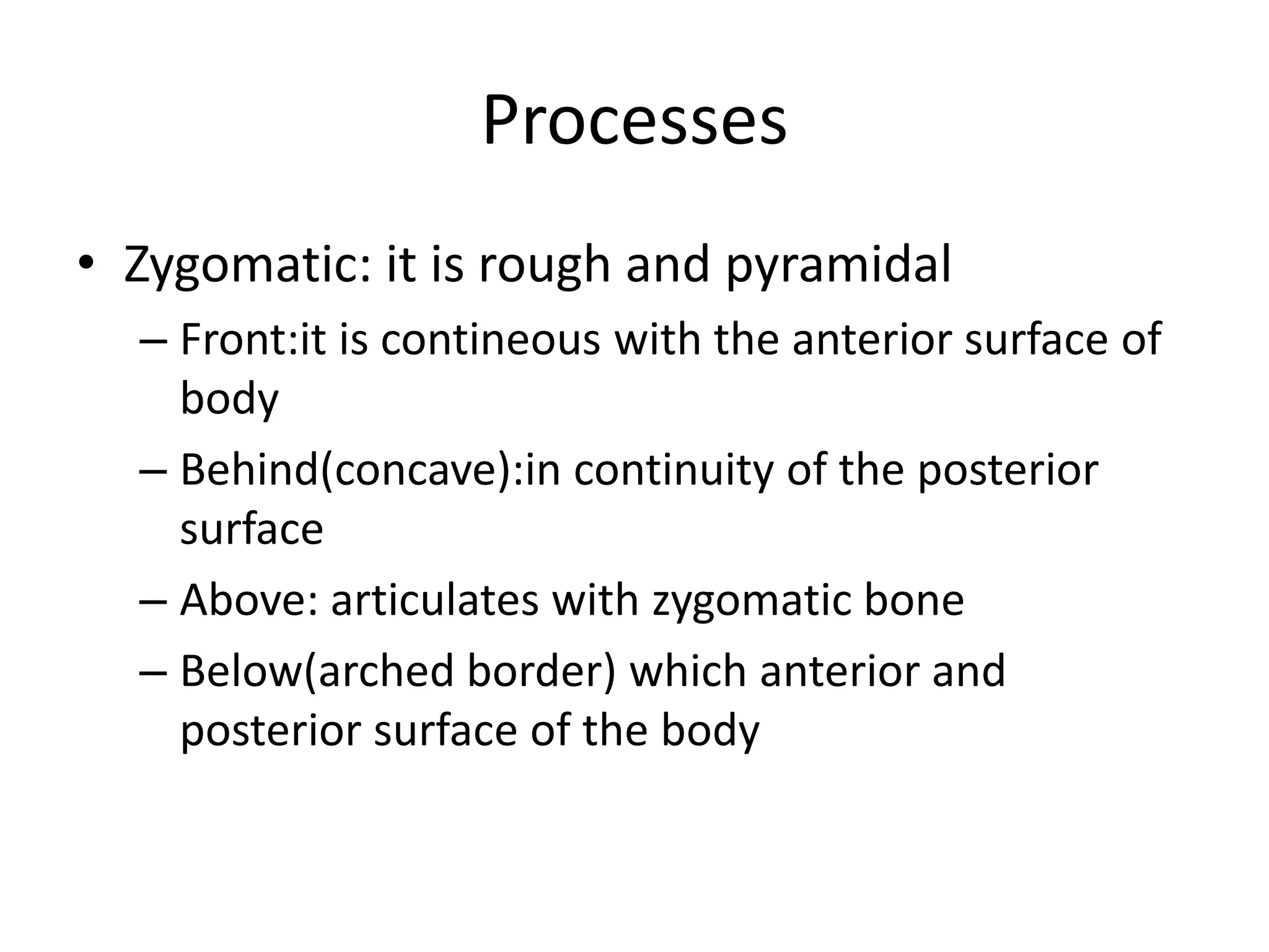 Processes
• Zygomatic: it is rough and pyramidal
– Front:it is contineous with the anterior surface of
body
– Behind(concave):in continuity of the posterior
surface
– Above: articulates with zygomatic bone
– Below(arched border) which anterior and
posterior surface of the body
 